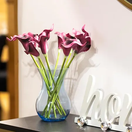 Willa Family House Rosa *