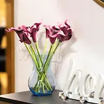 Villa Family House Rosa *