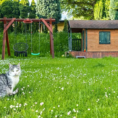 Villa Family House Rosa *